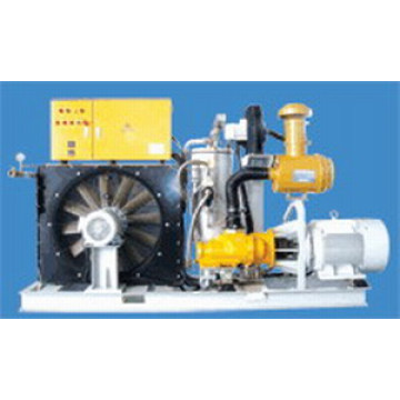 Compressor de ar personalizado especial (SETC75A-8)